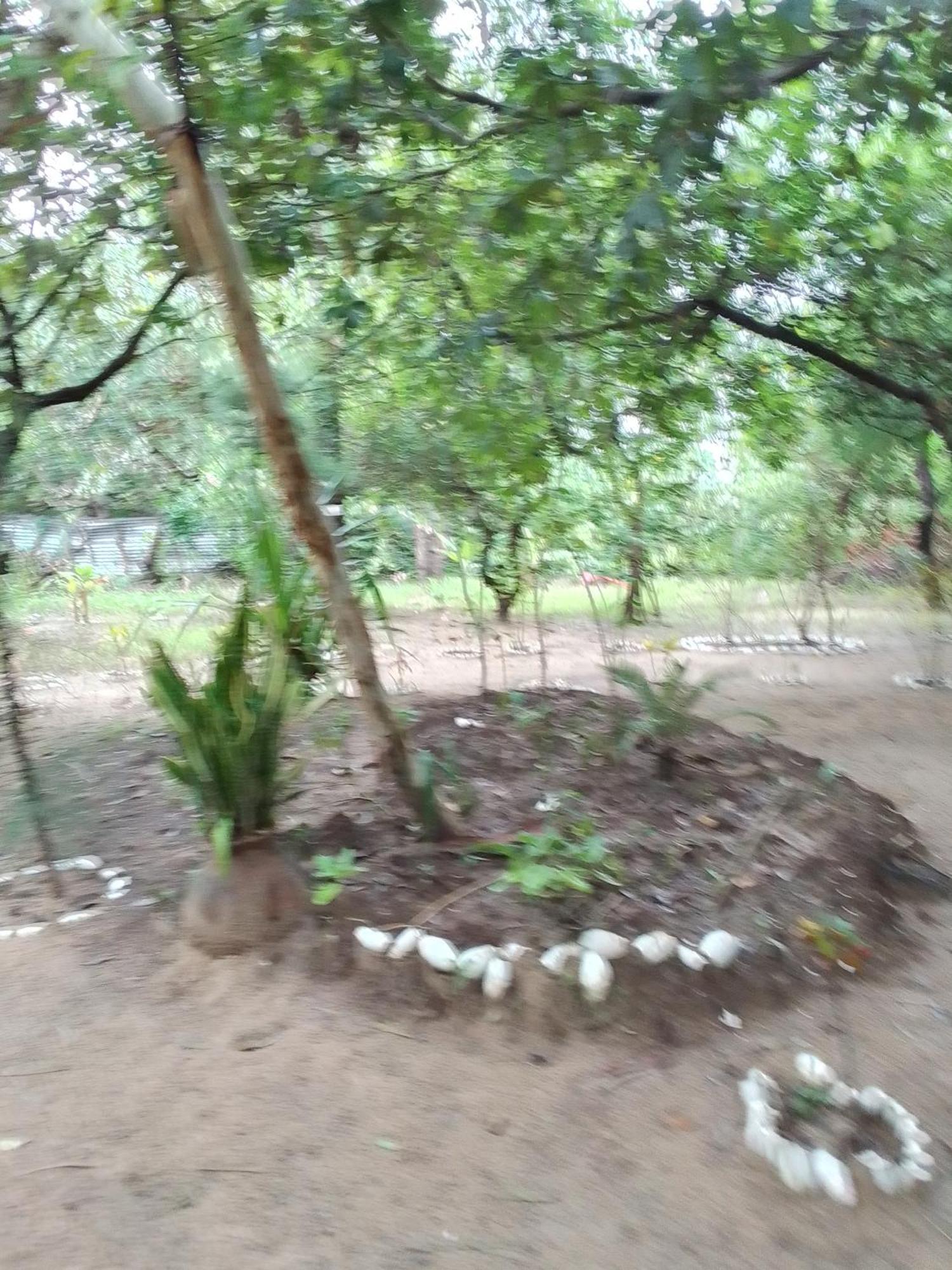 Bed and Breakfast Little Baobab Abeme Екстер'єр фото