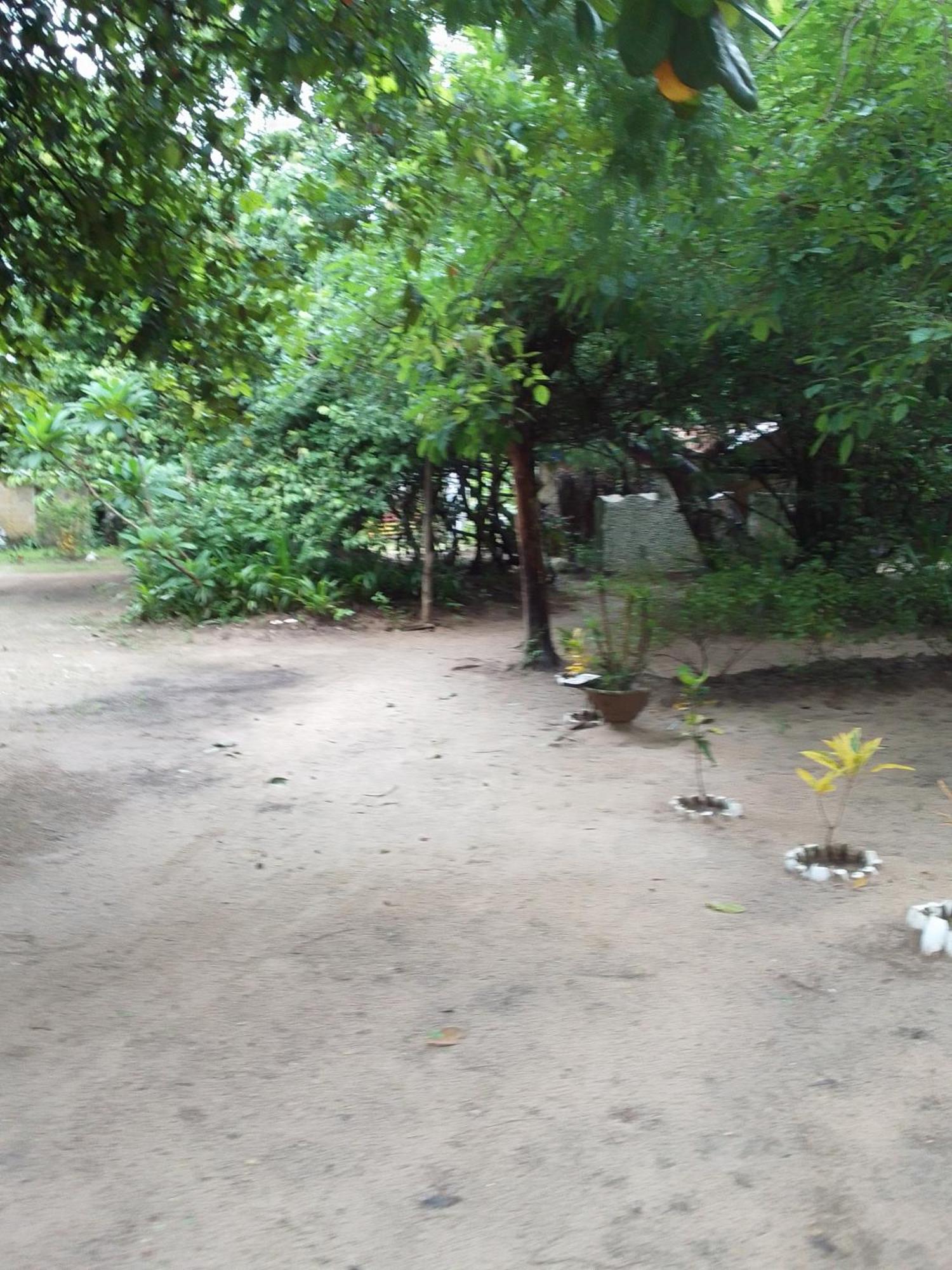 Bed and Breakfast Little Baobab Abeme Екстер'єр фото