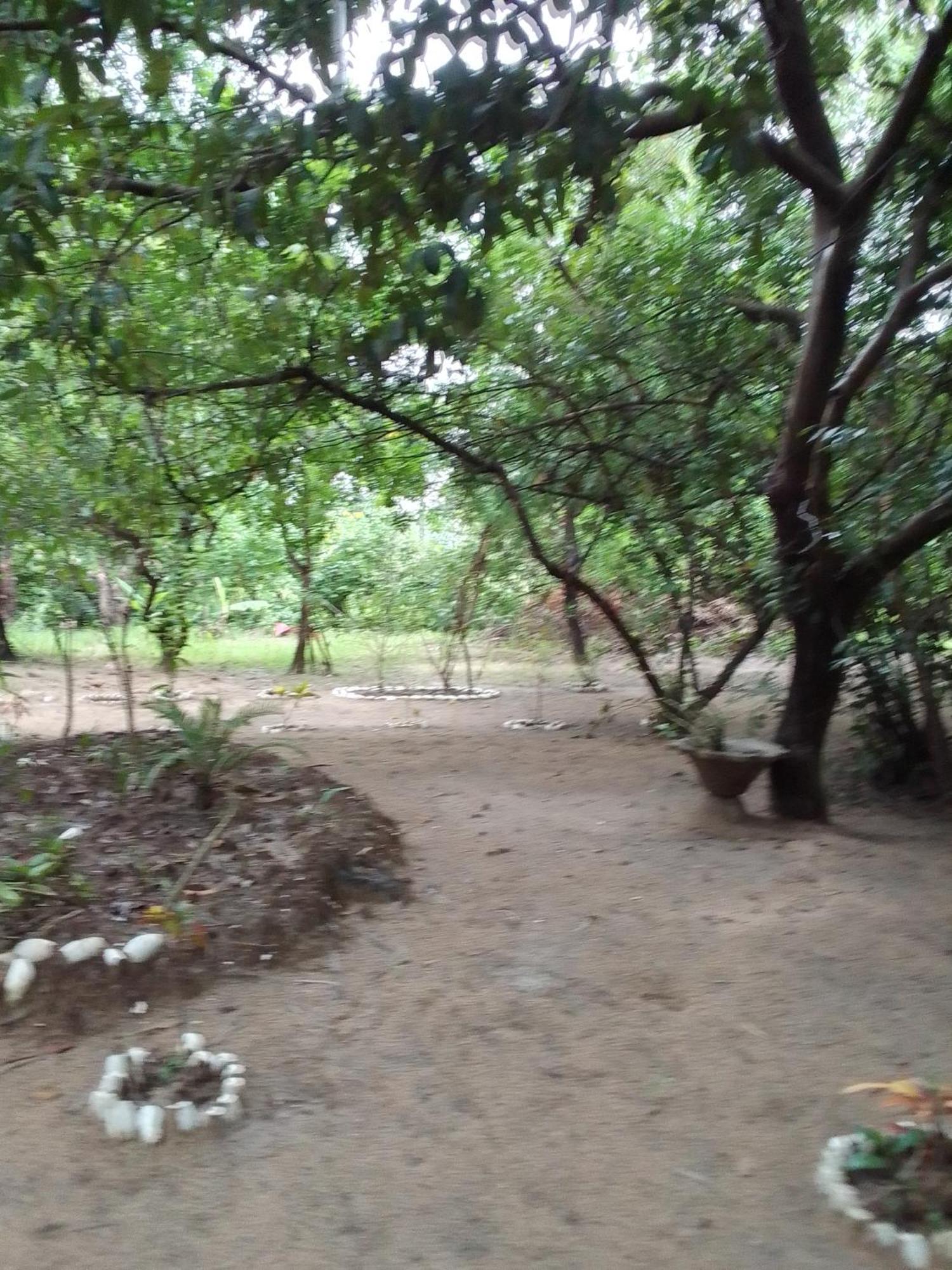Bed and Breakfast Little Baobab Abeme Екстер'єр фото