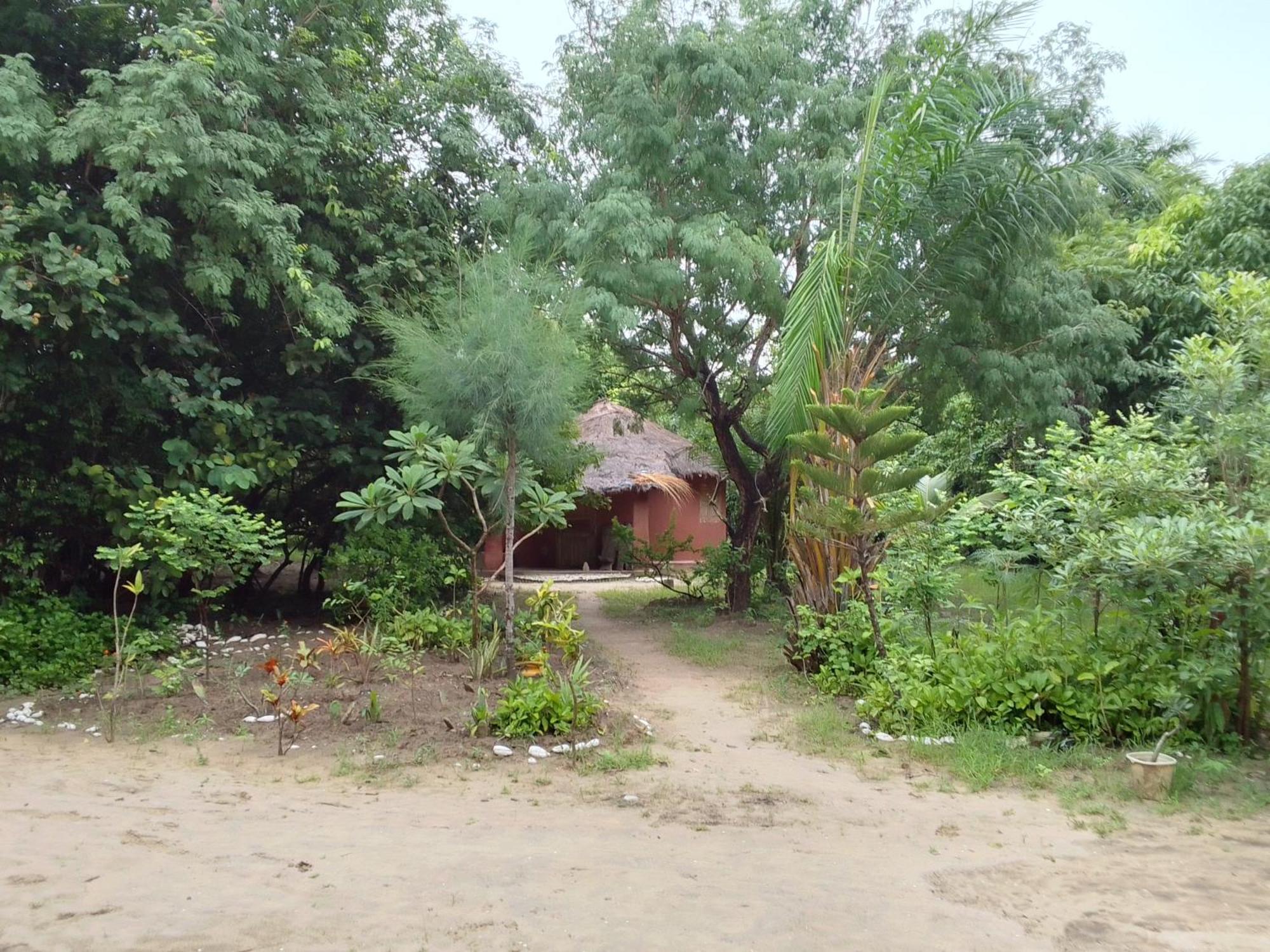 Bed and Breakfast Little Baobab Abeme Екстер'єр фото